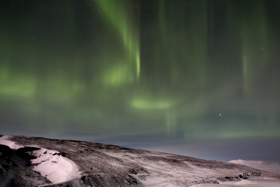 Aurora Borealis Nordlichter nördlich von Reykjavik Island